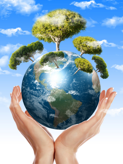 Top 10 des sites sur l'environnement